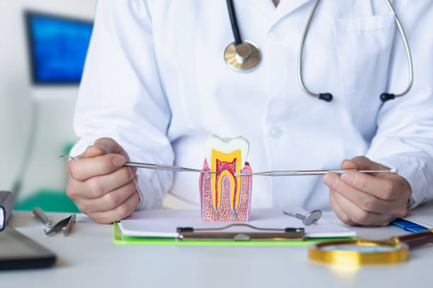 Best Emergency Dental Care for Broken or Chipped Teeth in Iraan, TX